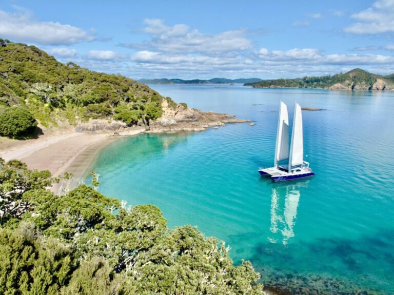 boat trips bay of islands nz 768x575