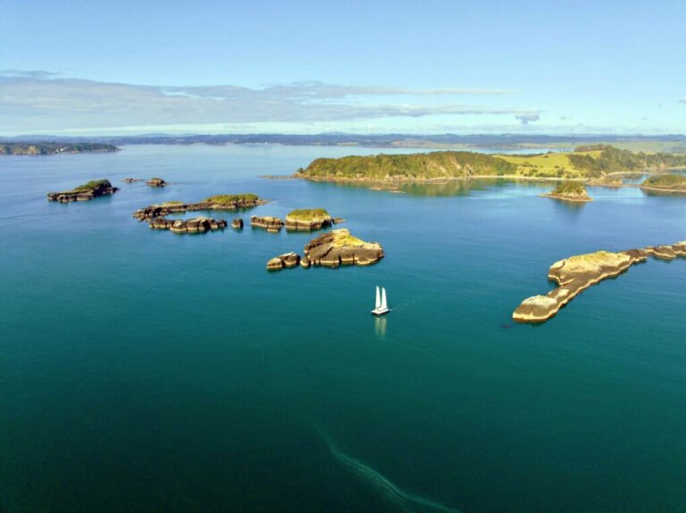 day sailing bay of islands 768x575