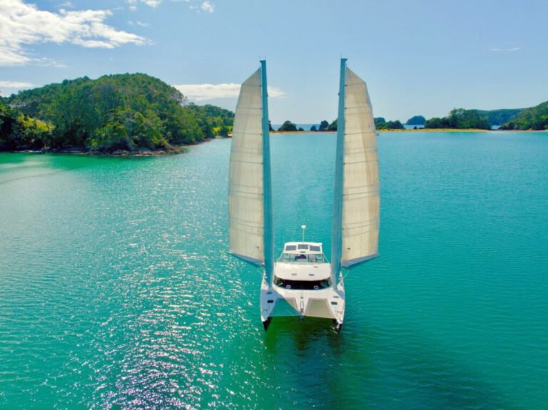 hire a boat bay of islands 1 768x575