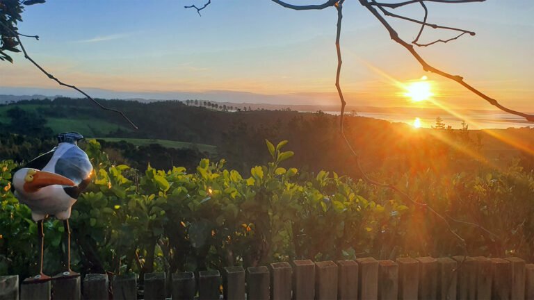 sunset over the kaipara harbour view from a deer cottage 768x432