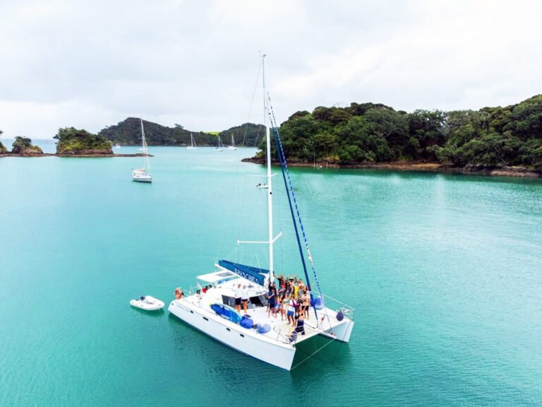 boat trip in the bay of islands nz 768x576