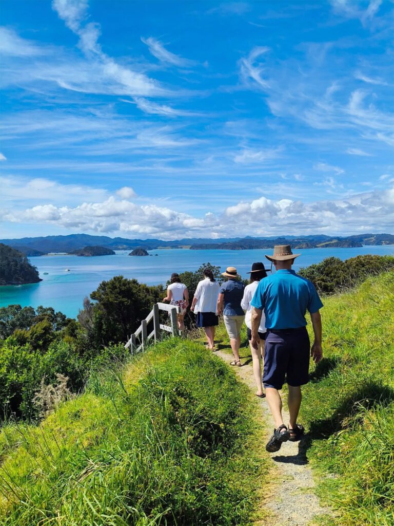 island tour from paihia bay of islands 768x1024