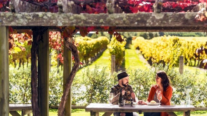 Visit the many vineyards and wineries in the Marlborough region on a wine and beer tour with Hop n Grape