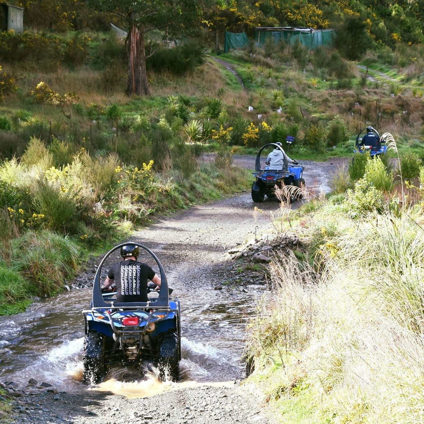 Quad biking in Nelson is just one of the activities at Cable Bay Adventure Park