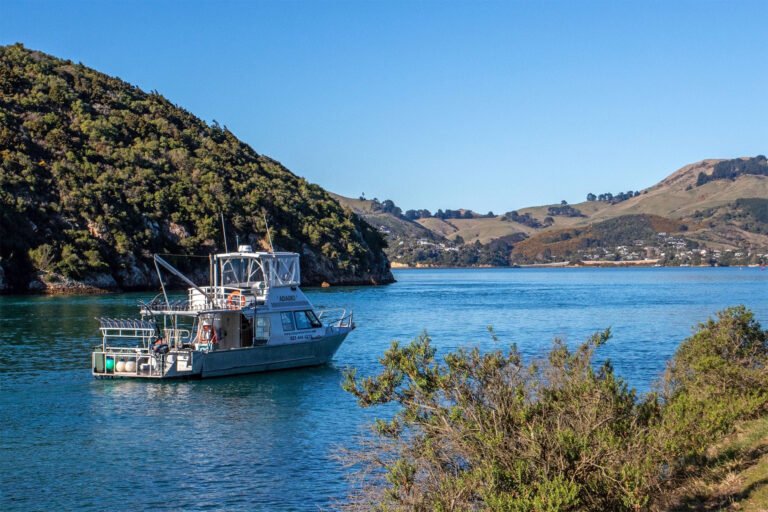 Otago Harbour ferry transport 768x512