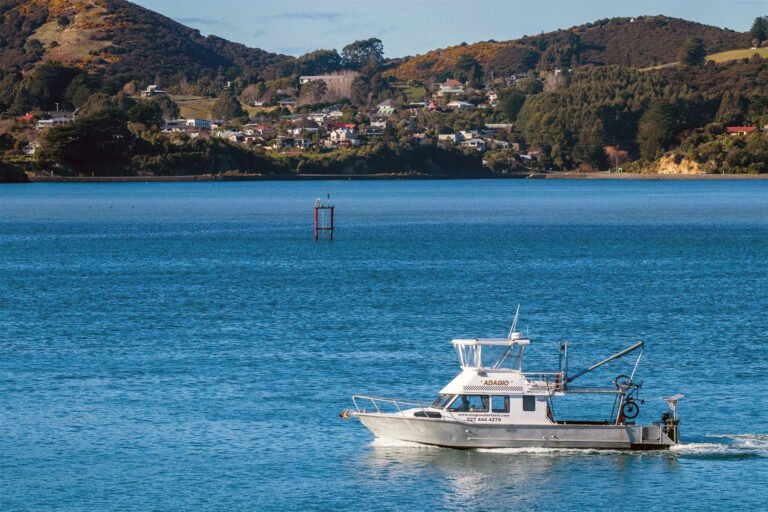 Otago Harbour water taxi cruising near Dunedin 768x512