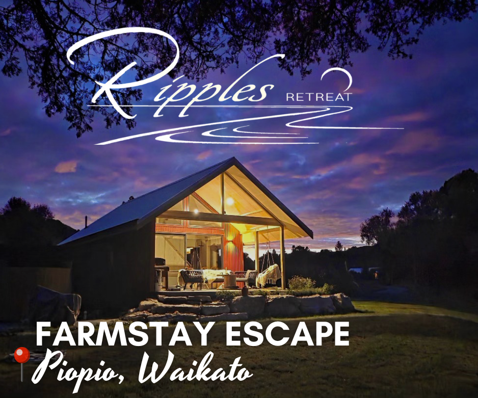 Ripples Retreat luxury farmstay accommodation in Piopio, Waikato – modern riverside cabin at sunset with warm lighting, surrounded by native bush. Ideal for couples, family getaways, boutique farm stays near Waitomo Caves, stargazing, fishing, and private nature escapes in the Waikato region.