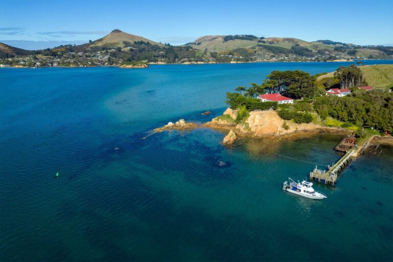 Water taxi service between Portobello and Dunedin 768x512