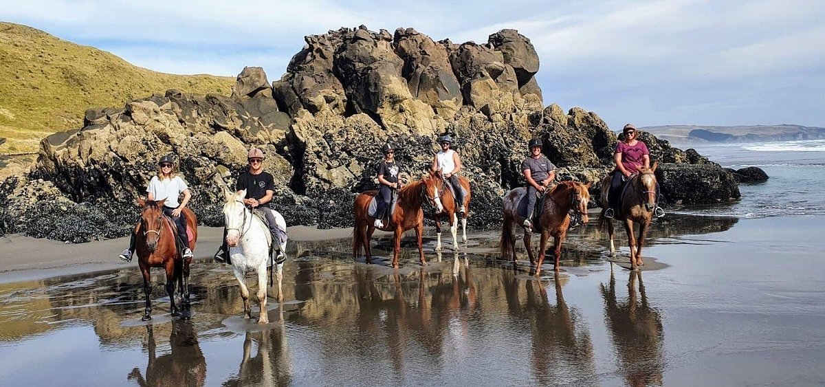 Horse treks along the beach in Raglan NZ