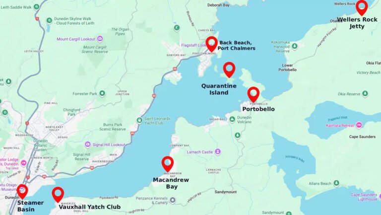 map of dunedin water taxi route 768x433