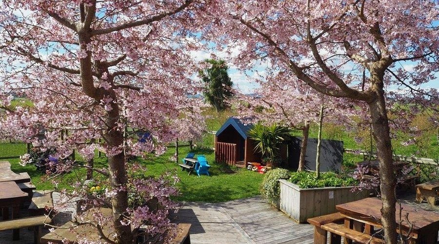 Organic blueberry farm and cafe in Cambridge Waikato New Zealand