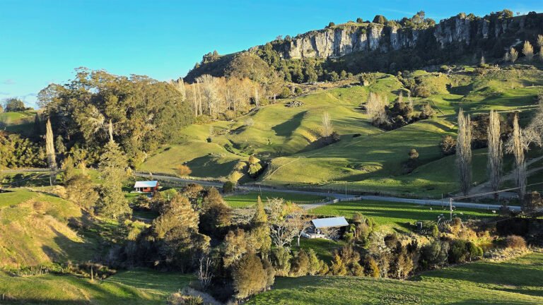 view of 2 cabins at ripples retreat accommodation near waitomo 768x432