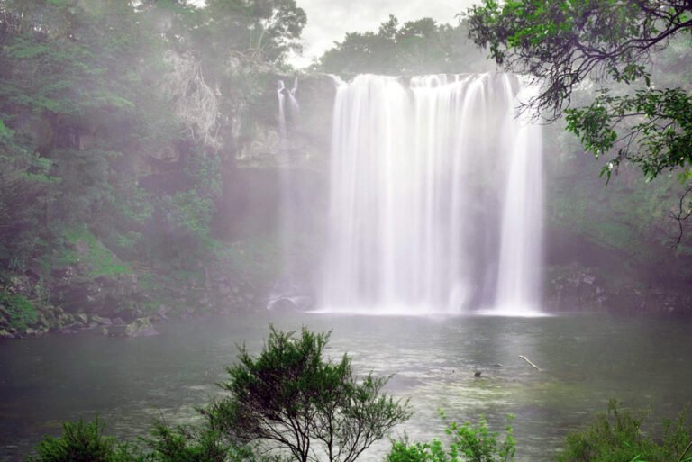 visit rainbow falls from kauri park motel kerikeri 768x513