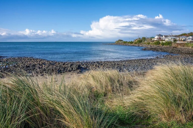 bluff coastline southland new zealand 768x512