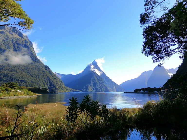 milford sound scenic cruise new zealand 1 768x576