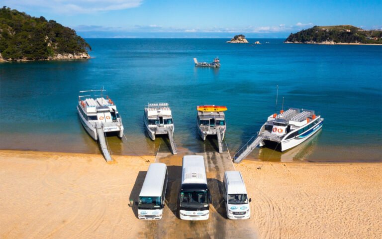 abel tasman sea shuttle kaiteriteri water taxi 768x480