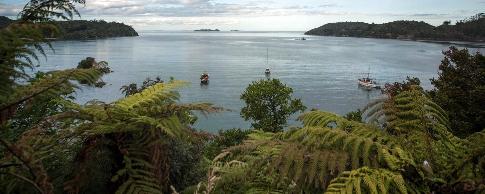 View from Church Hill Lodge on Stewart Island Southland New Zealand
