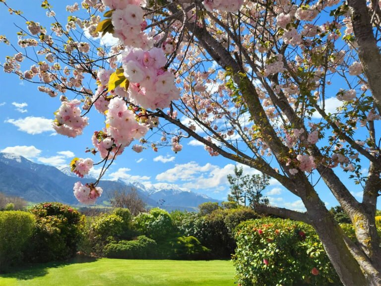 te mahuru retreat kaikoura gardens mountain views 768x576