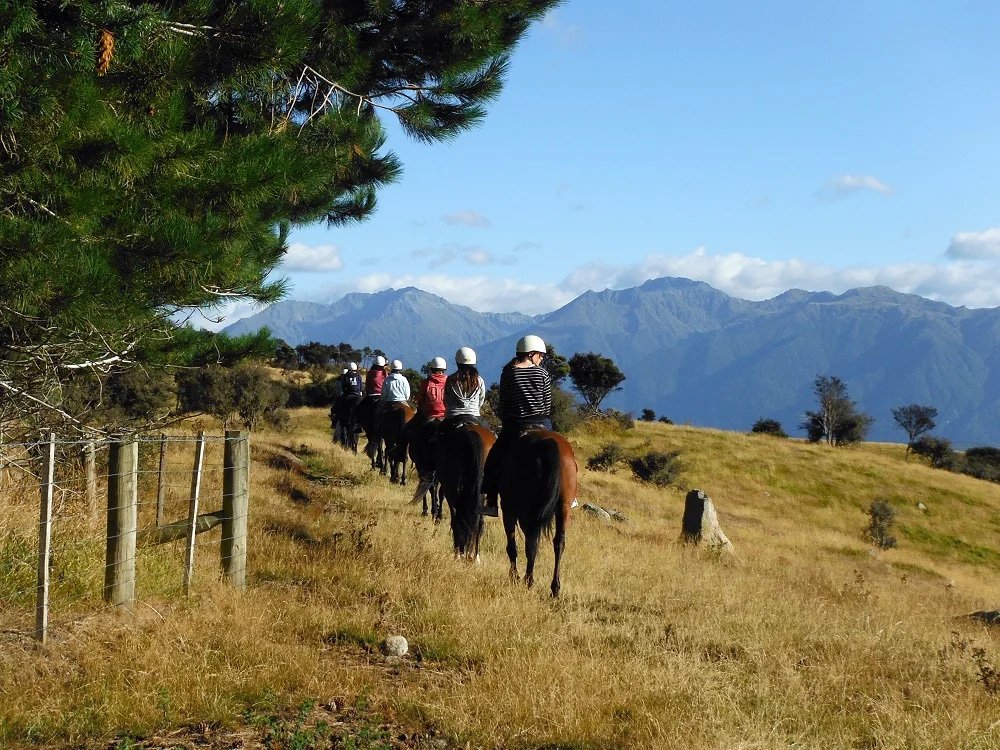 Scenic horse treks through Fiordland farmland with Westray Farm Horse Treks Te Anau