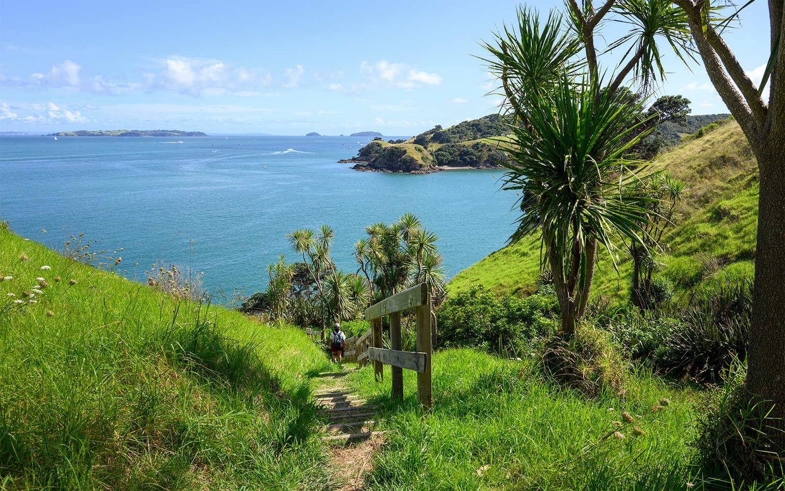Coastal walking track overlooking Waiheke Island and the Hauraki Gulf near Auckland