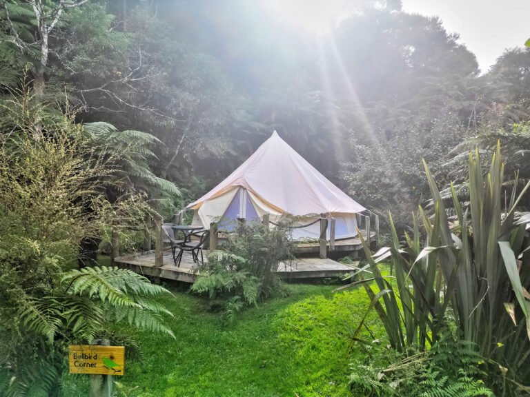 glamping tent whanganui river at the flying fox 768x576