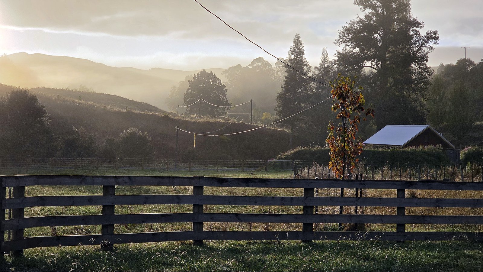 peaceful farm setting ripples retreat waikato countryside stay