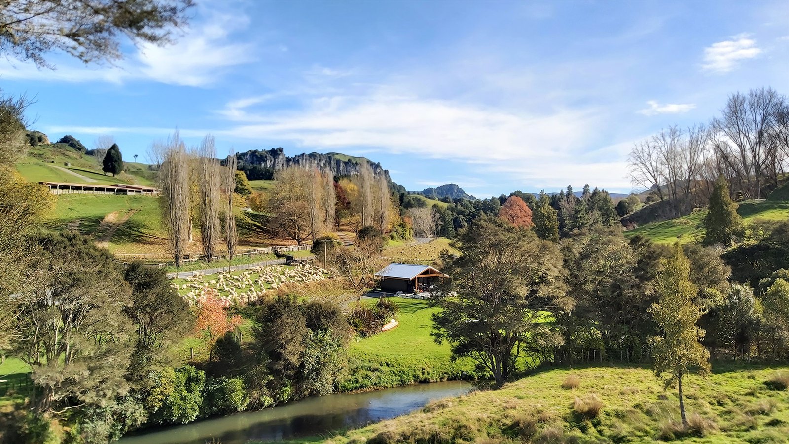riverside cabin ripples retreat waikato countryside aerial view
