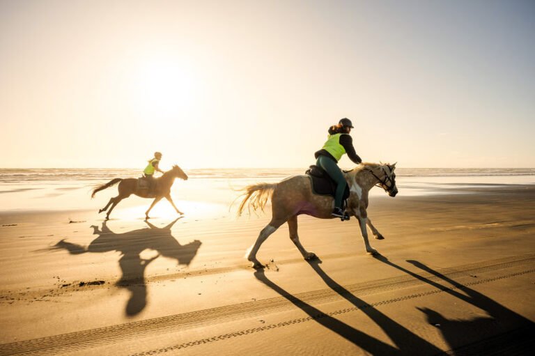 sunset horse riding muriwai beach 768x511
