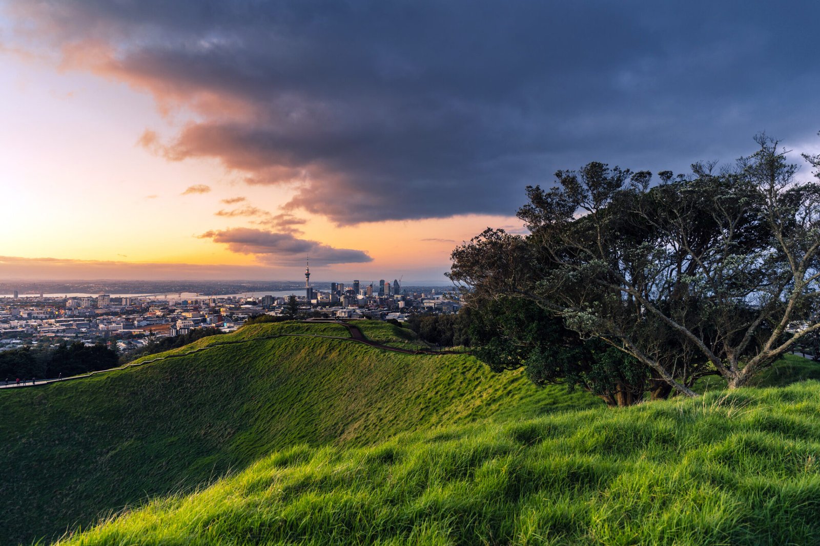 View of Auckland City from the summit of Mt Eden