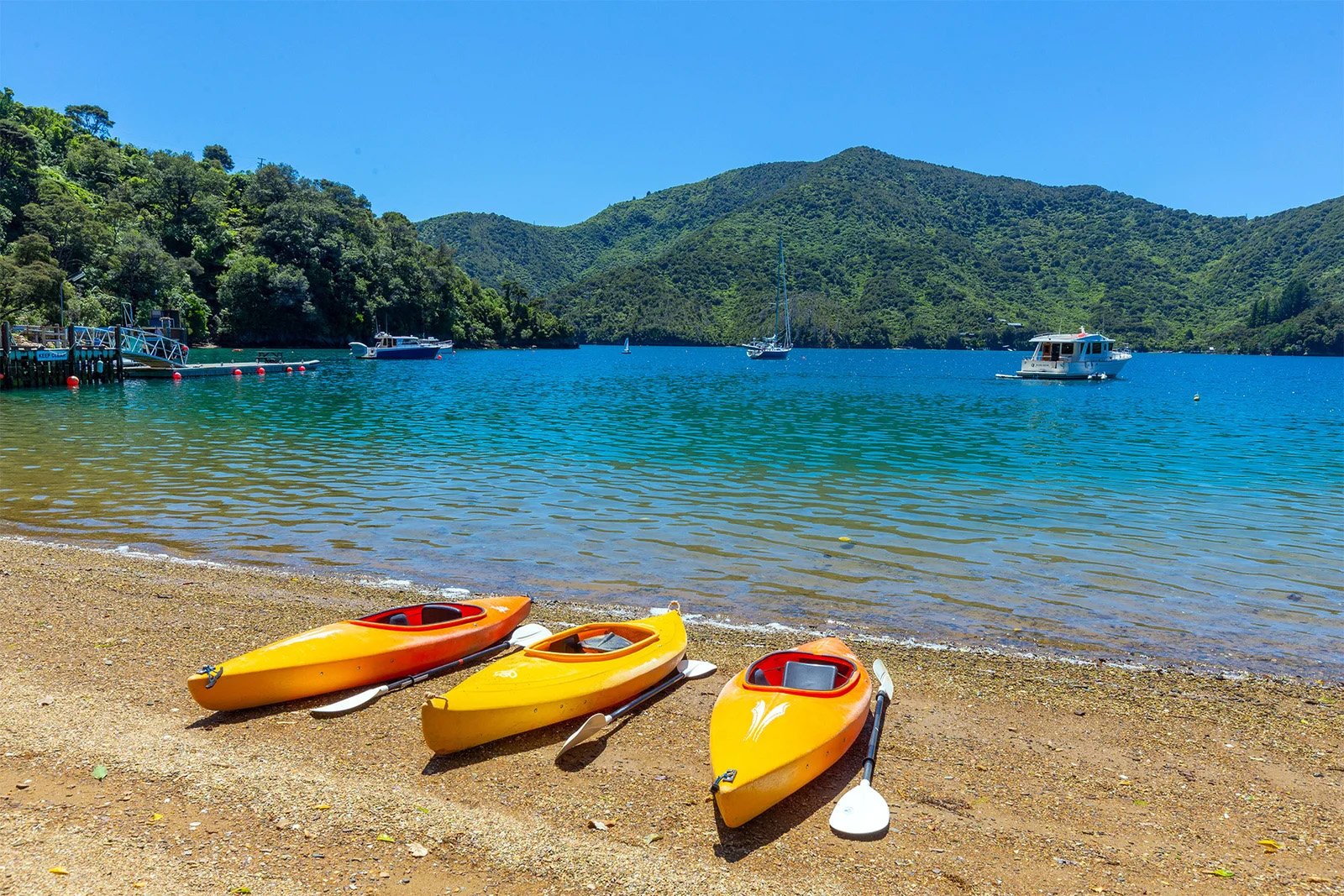 Kayaks on the beach in Queen Charlotte Sound, Marlborough NZ