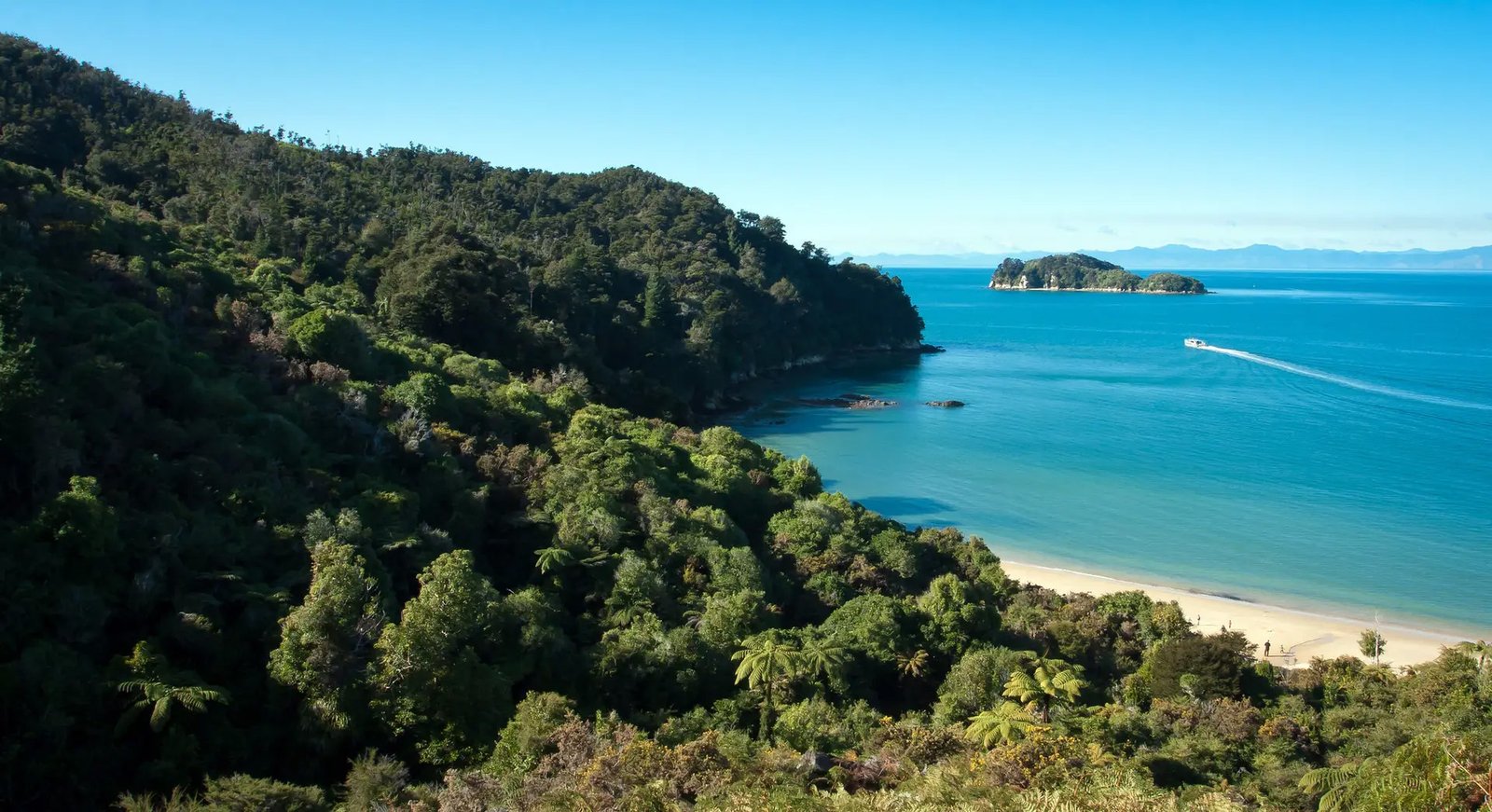 Aerial view of Abel Tasman National Park coastline with turquoise water and golden beaches