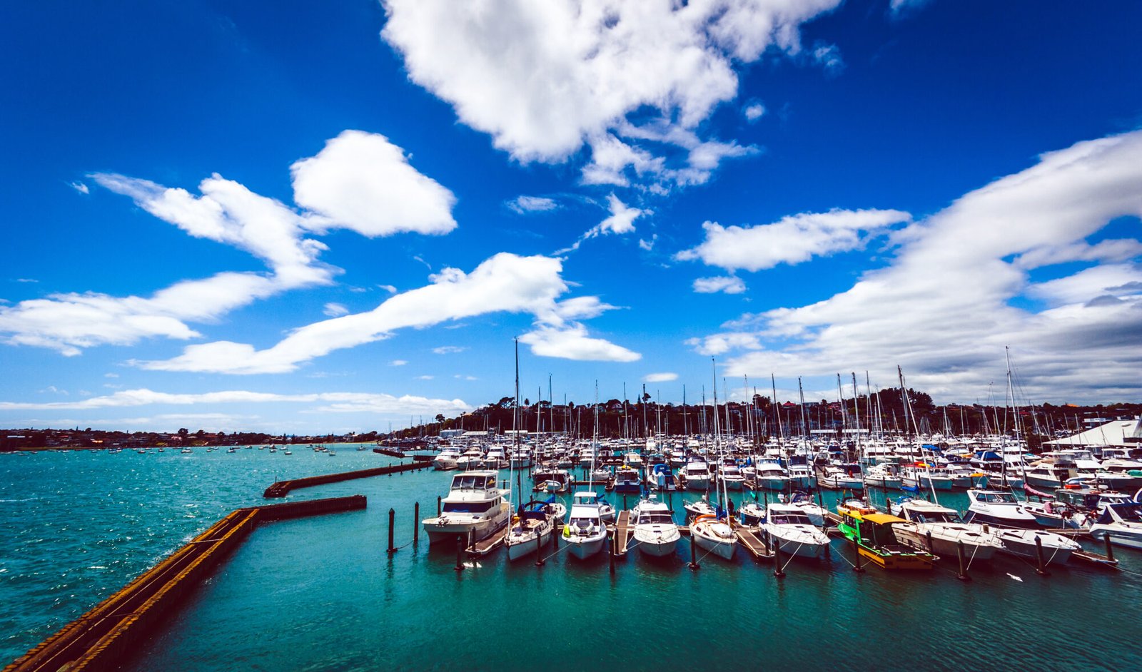 Auckland marina on the waterfront in Auckland New Zealand