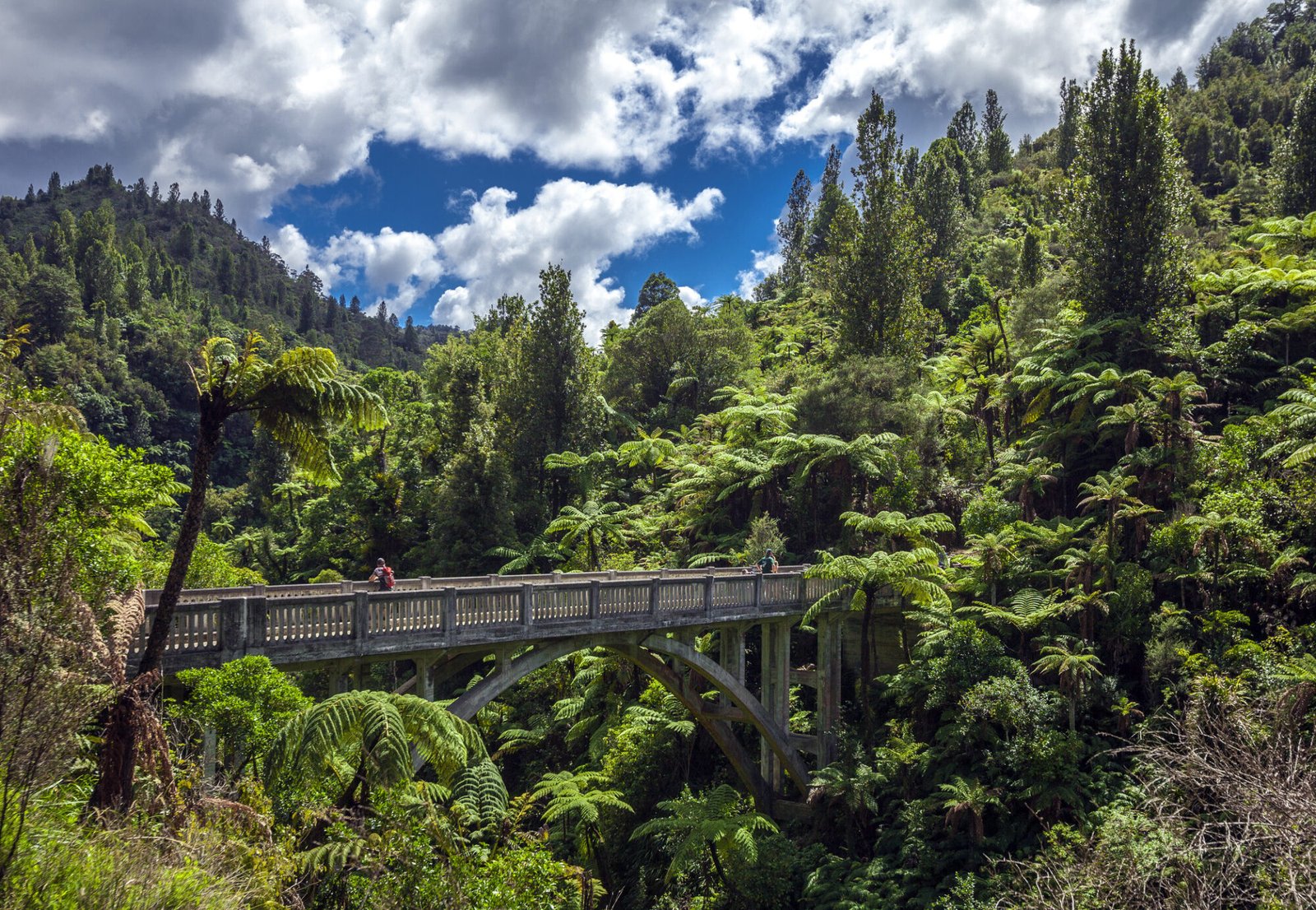 Bridge to Nowhere in Whanganui National Park surrounded by native forest New Zealand