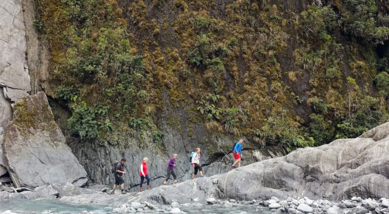 franz josef glacier valley walk riverbed 768x424