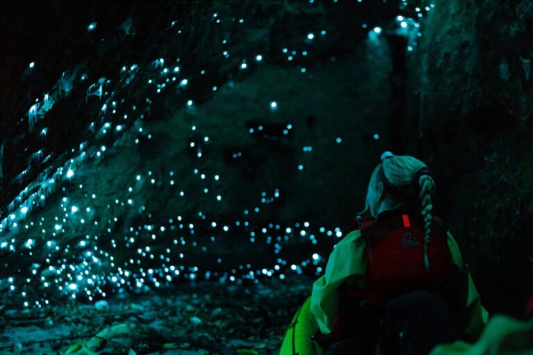 glow worm kayak tour rotorua night cave 768x512