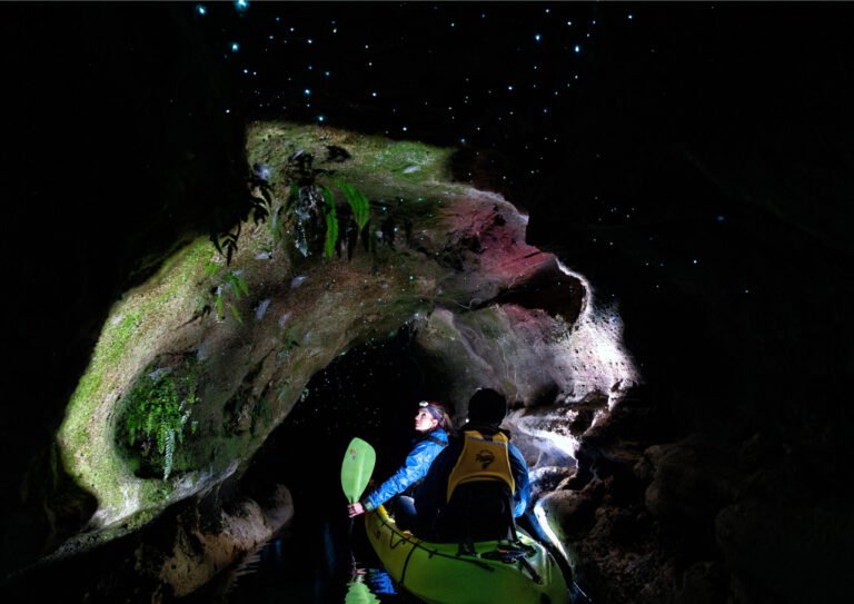 glow worms rotorua kayak experience 768x543