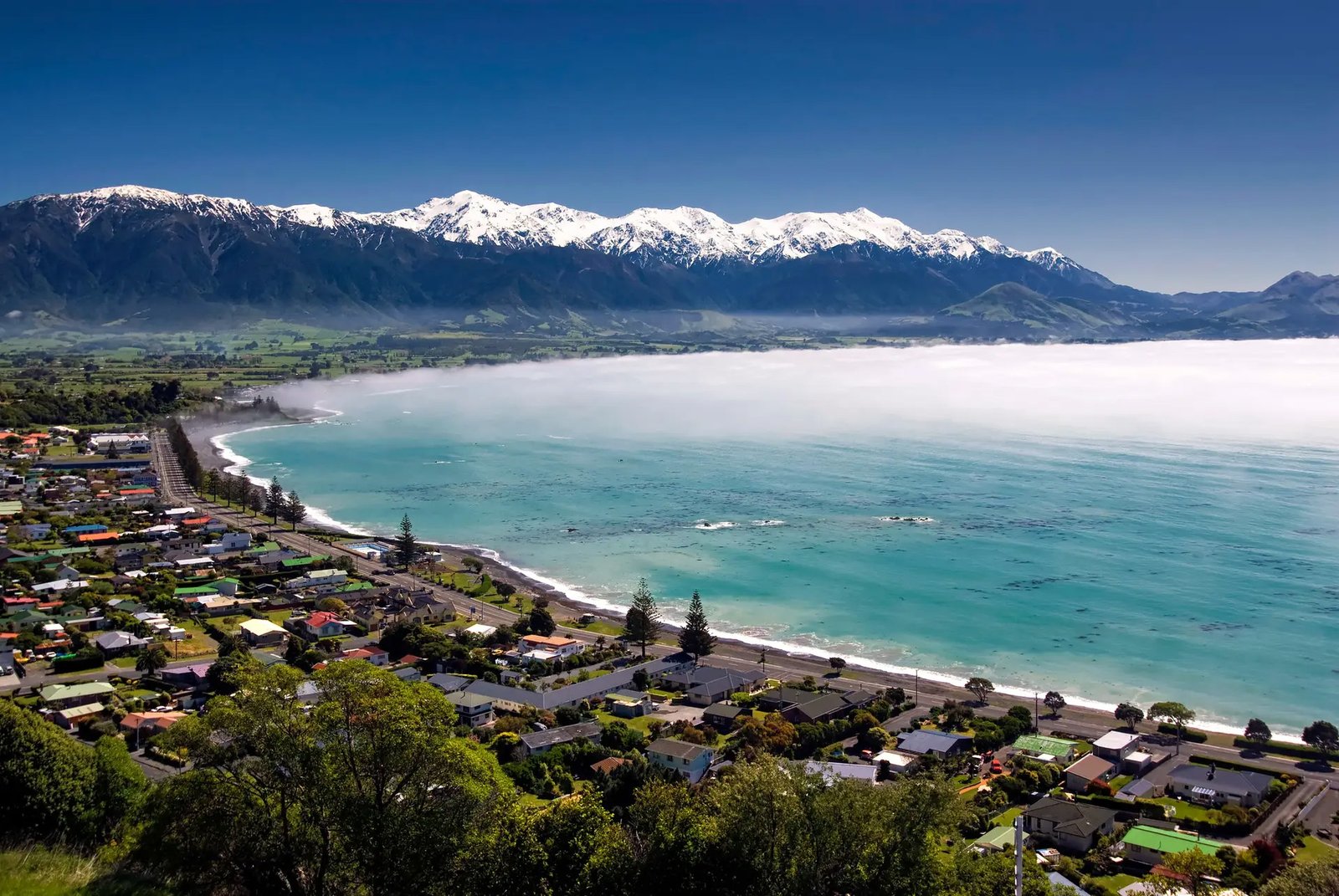 Kaikoura coastline with mountains and ocean Canterbury New Zealand