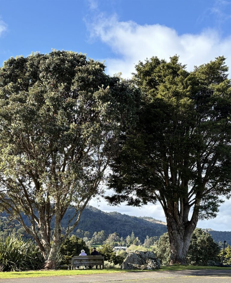 kiwi north whangarei heritage park views 768x943