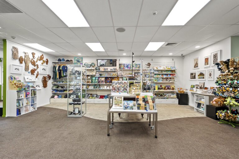 kiwi north whangarei museum gift shop 768x512