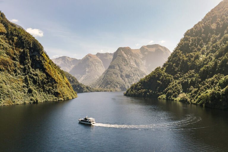 milford sound private tour new zealand 768x511