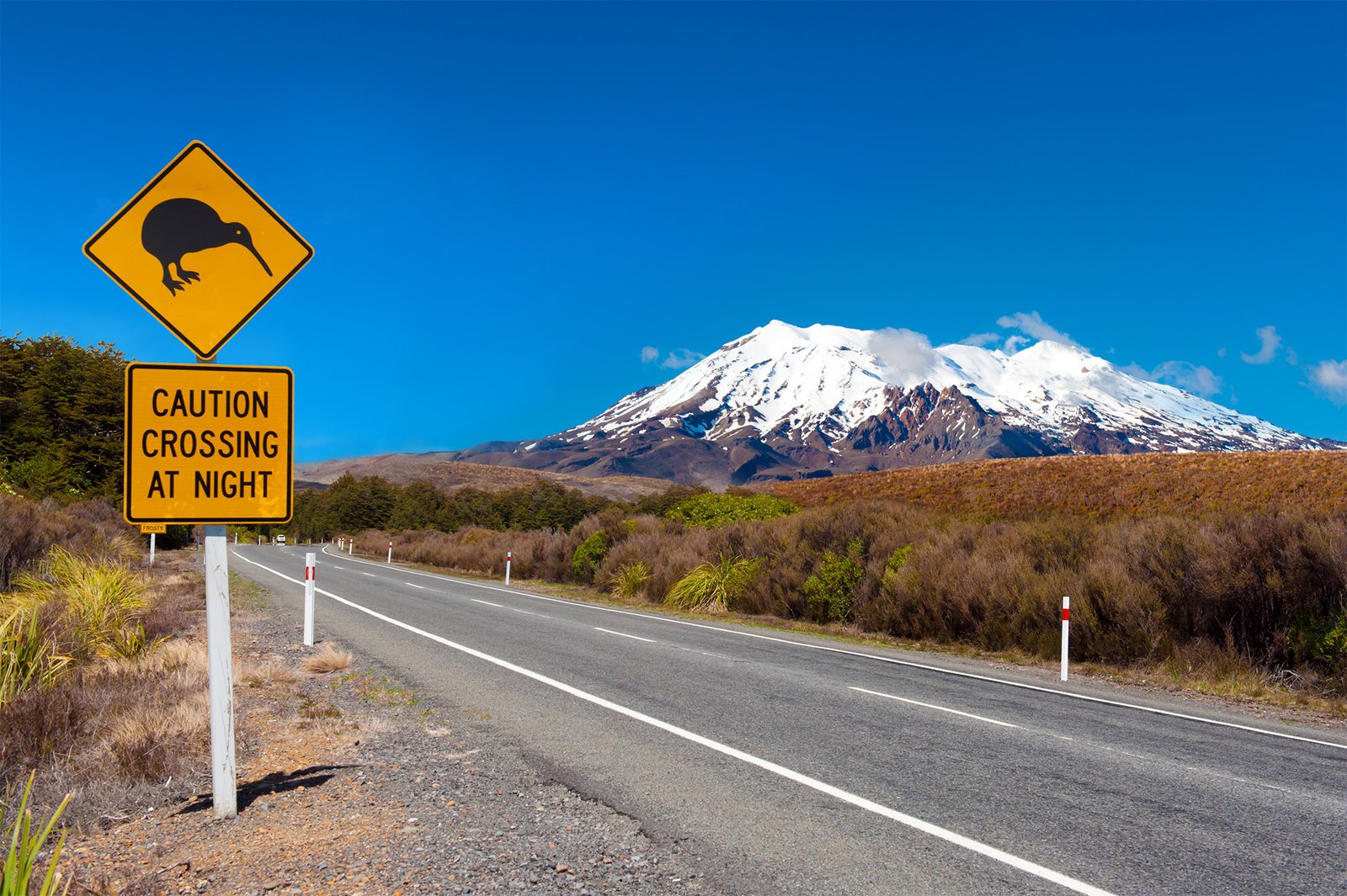 Mount Ruapehu with kiwi crossing sign on desert road in Manawatu Whanganui