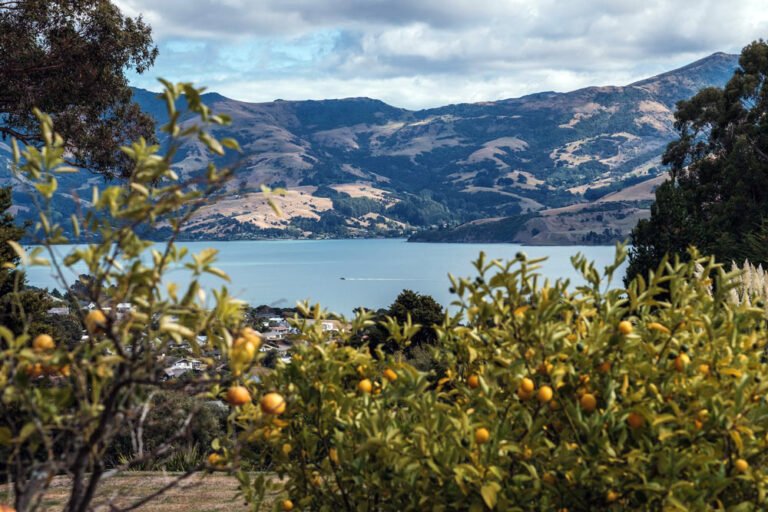 mt vernon lodge akaroa harbour view 768x512