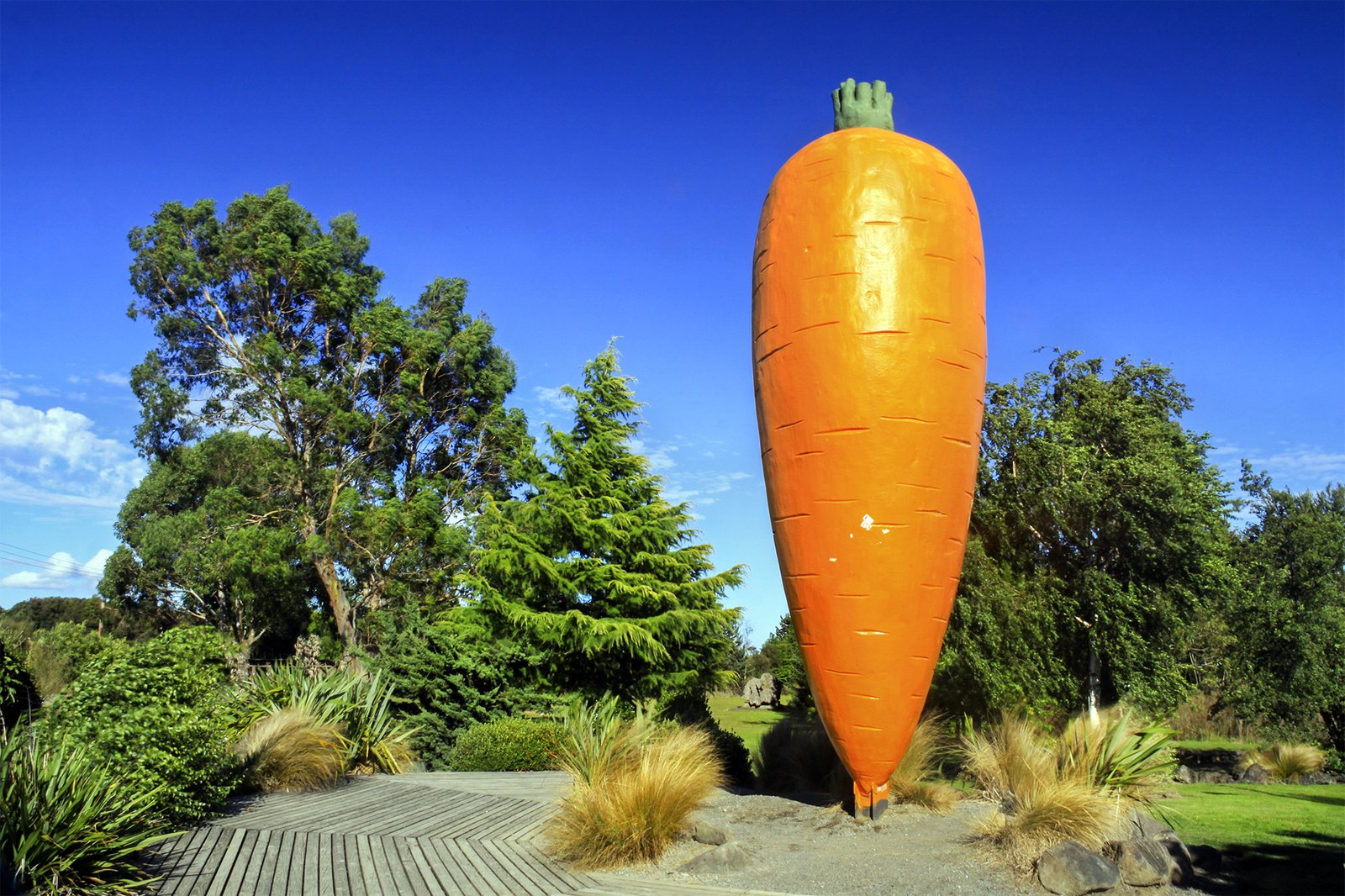 Ohakune giant carrot landmark in Ruapehu region New Zealand