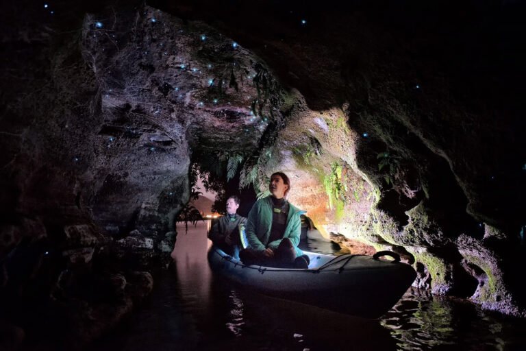 rotorua glow worm kayak tour cave 768x512