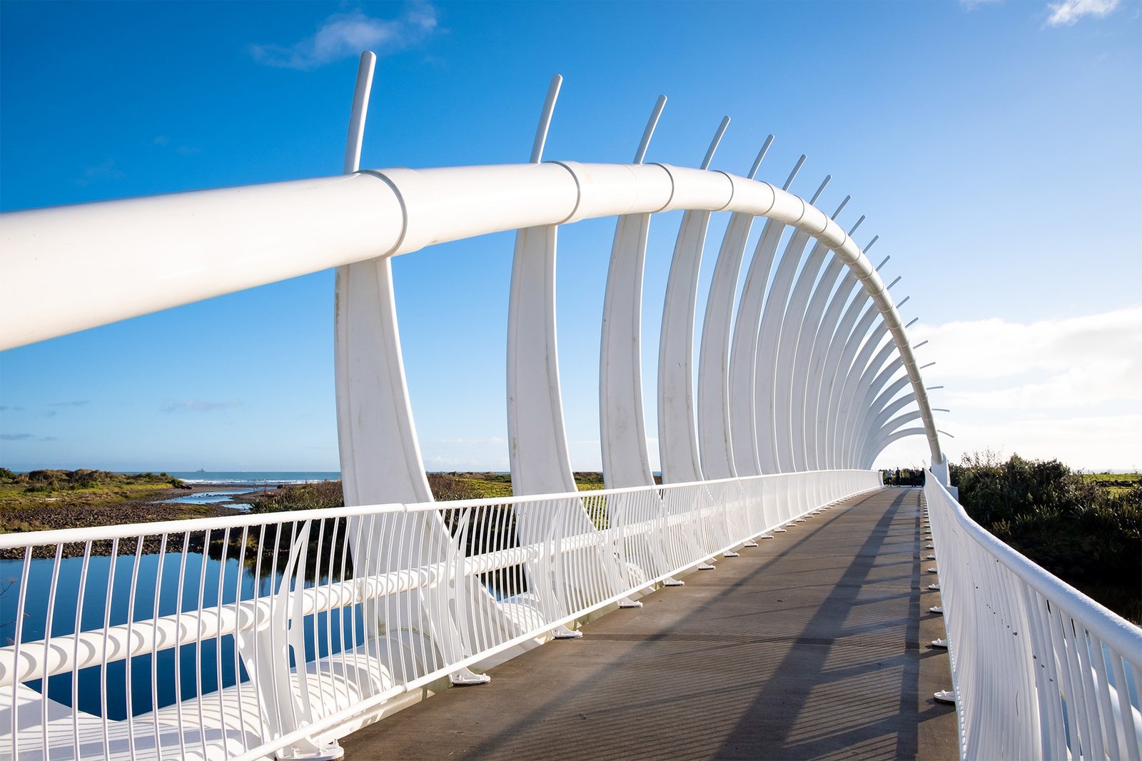Te Rewa Rewa Bridge New Plymouth Coastal Walkway