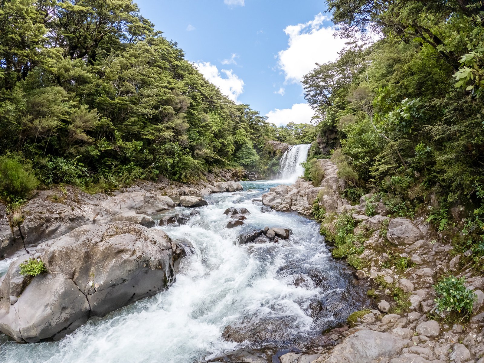 Taranaki Falls waterfall in Tongariro National Park