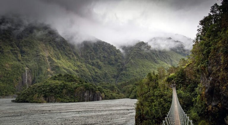 west coast suspension bridge rainforest valley 768x424