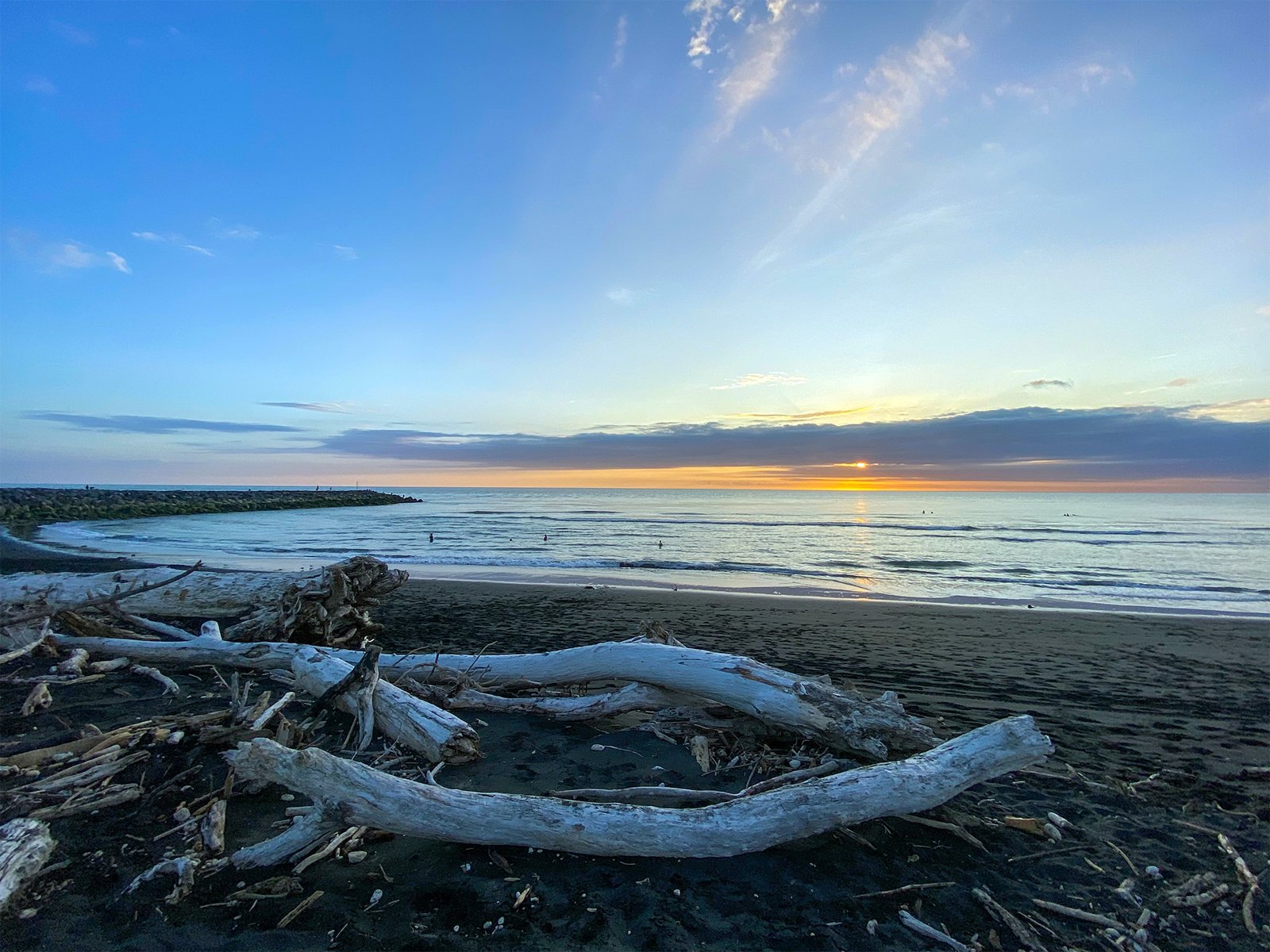 Driftwood on Whanganui beach at sunset in New Zealand