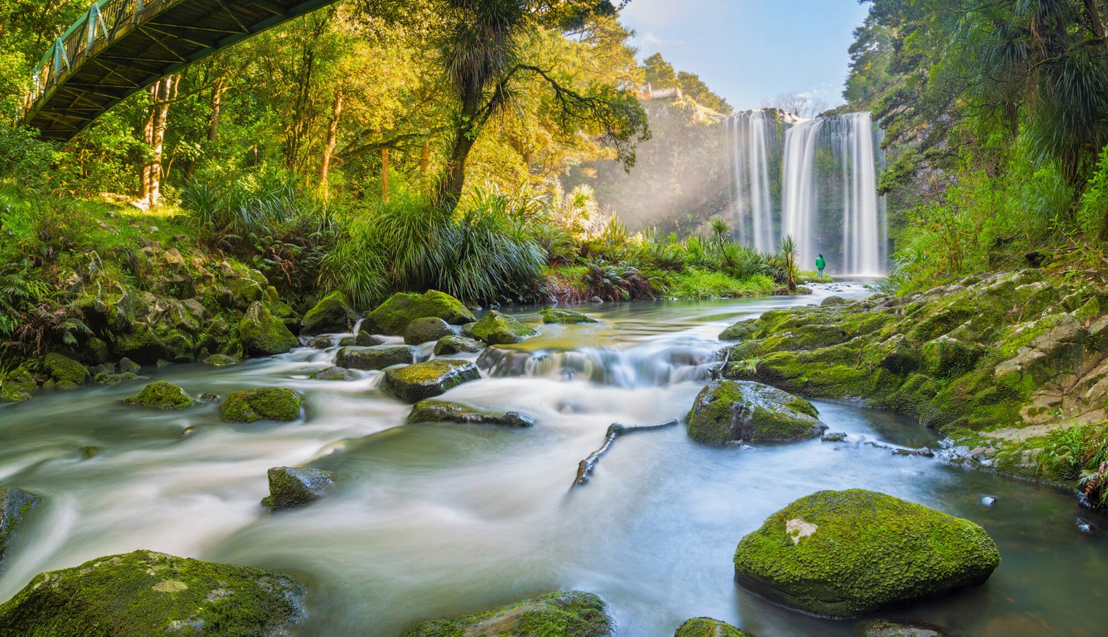 Whangarei Falls waterfall Northland New Zealand