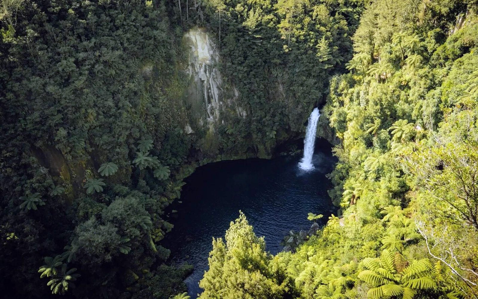 Ōmanawa Falls natural attraction near Tauranga Bay of Plenty